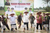 Sekda Aceh M. Nasir mewakili Gubernur Muzakir Manaf memimpin tanam padi perdana pasca bencana hidrometeorologi di Desa Bukit Panjang, Kecamatan Karang Baru, Aceh Tamiang, Minggu 5/7/2026. 