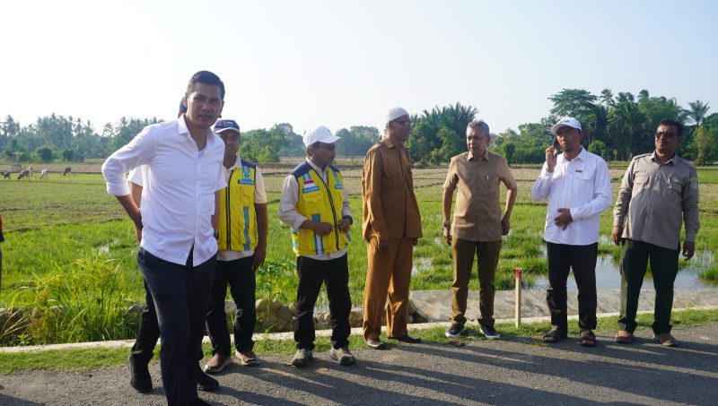 Sekda Aceh M. Nasir meninjau pelaksanaan rehabilitasi lahan sawah di Desa Matang Seupeng, Simpang Ulim, Aceh Timur, Senin 6/7/2026. 