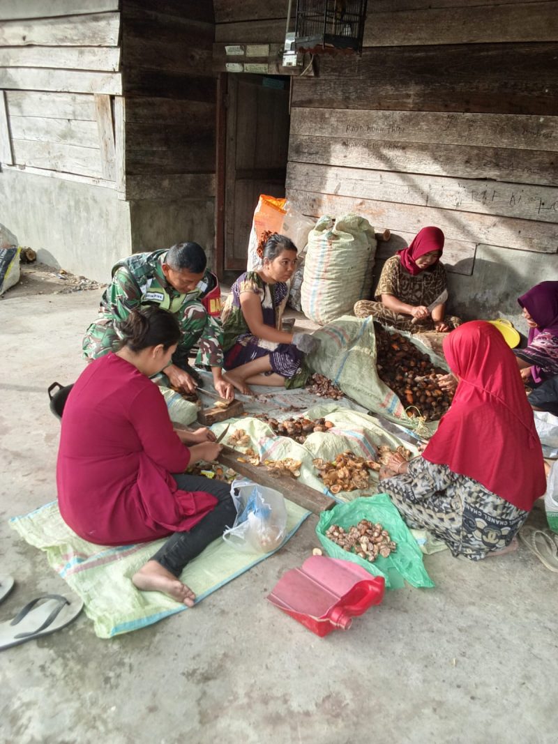 Koramil 09/Ketol Kodim 0106/Aceh Tengah Sertu Subeno membantu warga mengupas buah pinang, Sabtu (25/7/2026).(Dok: Ist)