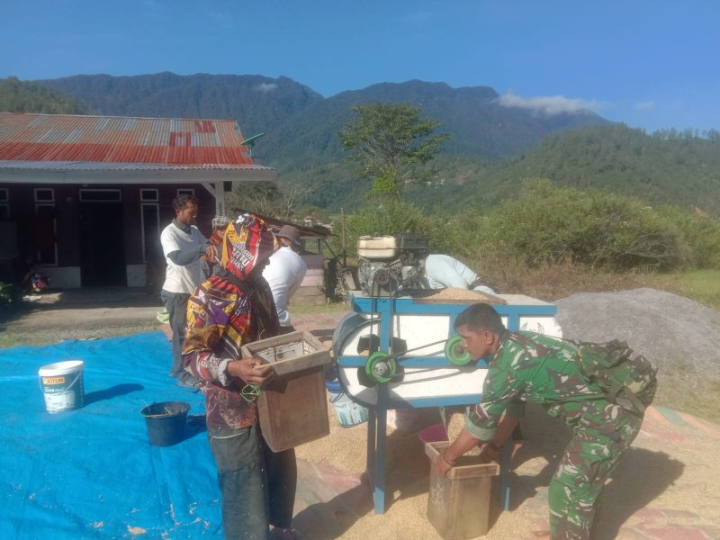 Serda Nasrudin, Babinsa Koramil 04/Bintang, ikut membantu warga dalam kegiatan penggilingan padi di Desa LB 1, Kecamatan Bintang, Aceh Tengah, Selasa (28/7/2026).foto.dok:Ist